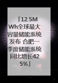 12.5MWh全球最大容量储能系统发布 合肥一季度储能系统同比增长425%